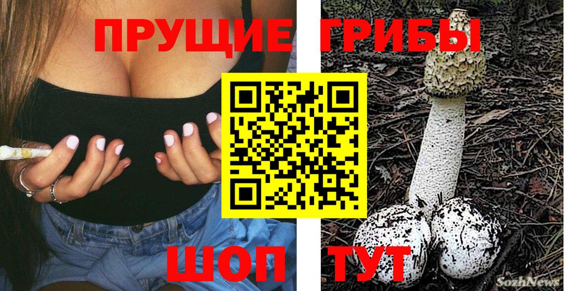 Псилоцибиновые грибы GOLDEN TEACHER  Галлюциногенные грибы прущие грибы  Вход с VPN  Вязники 