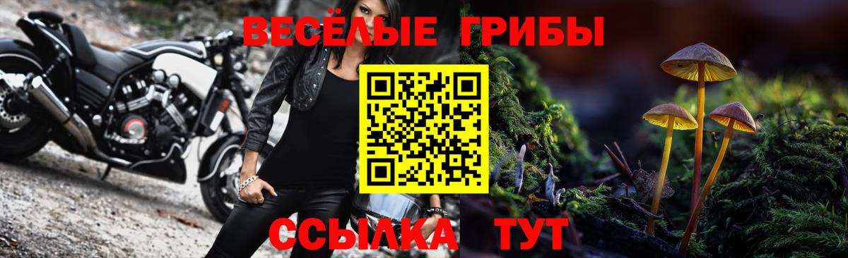 Псилоцибиновые грибы GOLDEN TEACHER Вязники